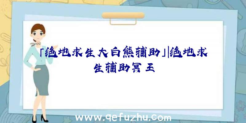 「绝地求生大白熊辅助」|绝地求生辅助冥王